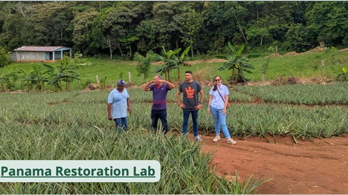 The Beginning of ERA's Flagship Project: Restoration Lab