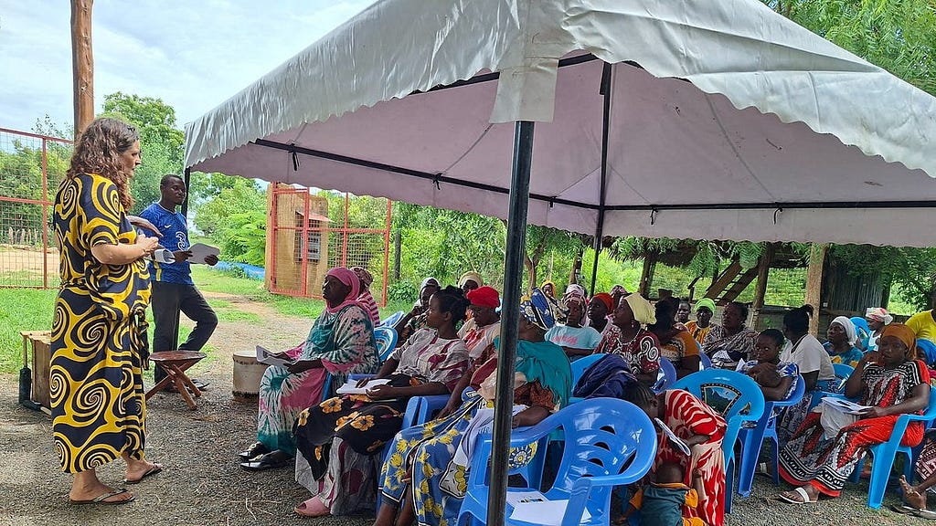Restoring the soil and developing nurseries