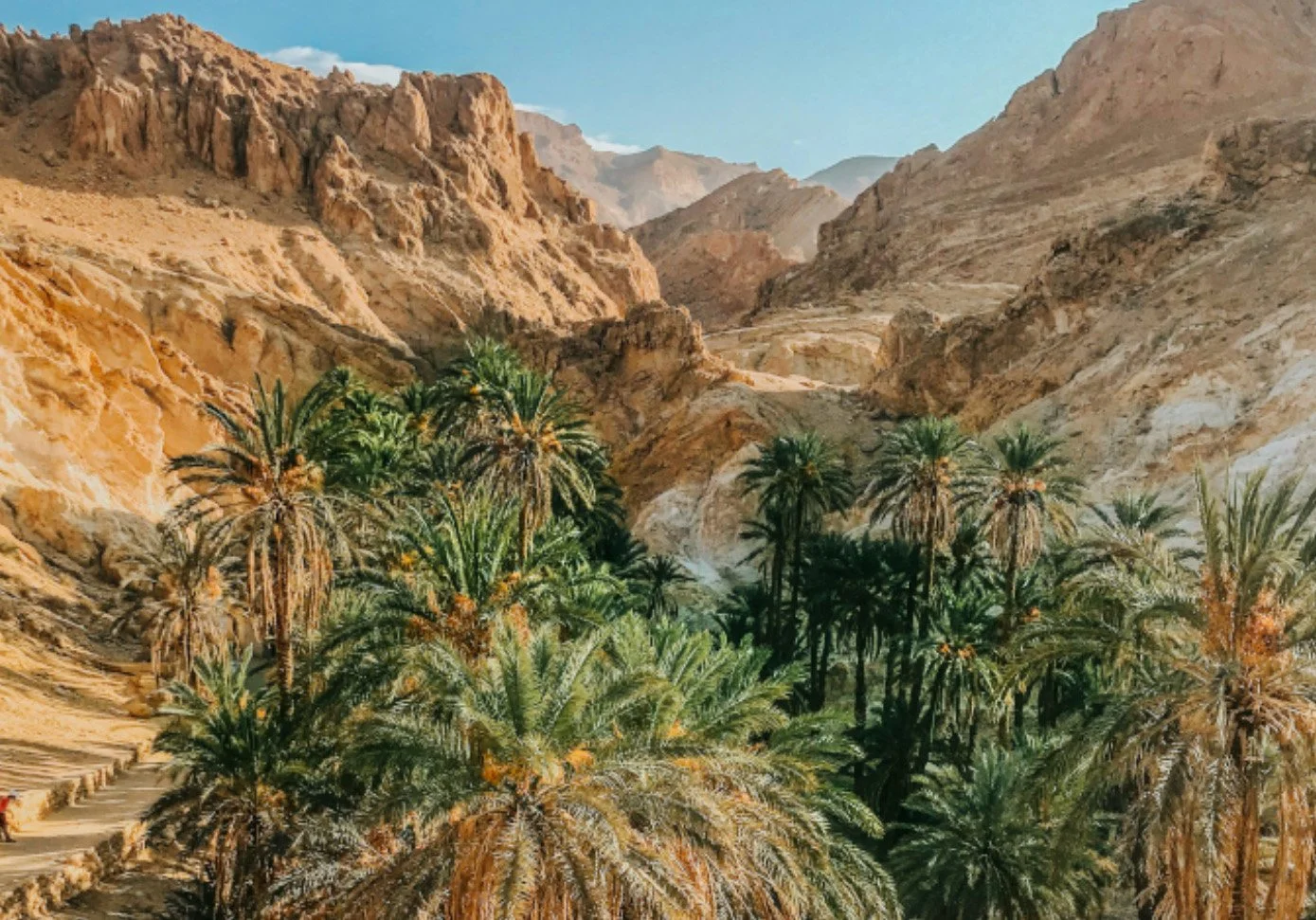 El Habib Ben Amara